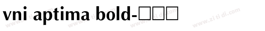 vni aptima bold字体转换